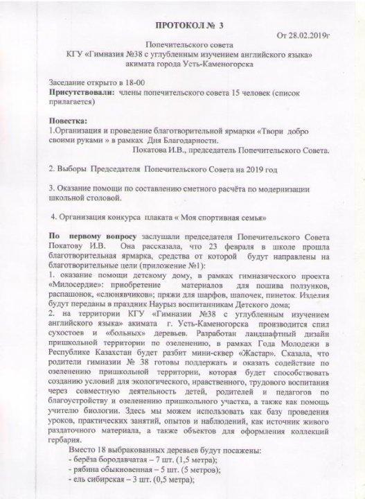 Отчет попечительского совета