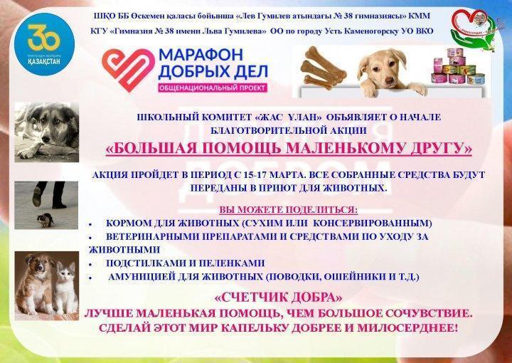 Благотворительная акция "БОЛЬШАЯ ПОМОЩЬ МАЛЕНЬКОМУ ДРУГУ"