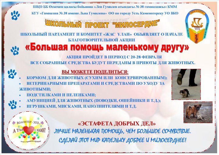 Школьная акция "Большая помощь маленькому другу"