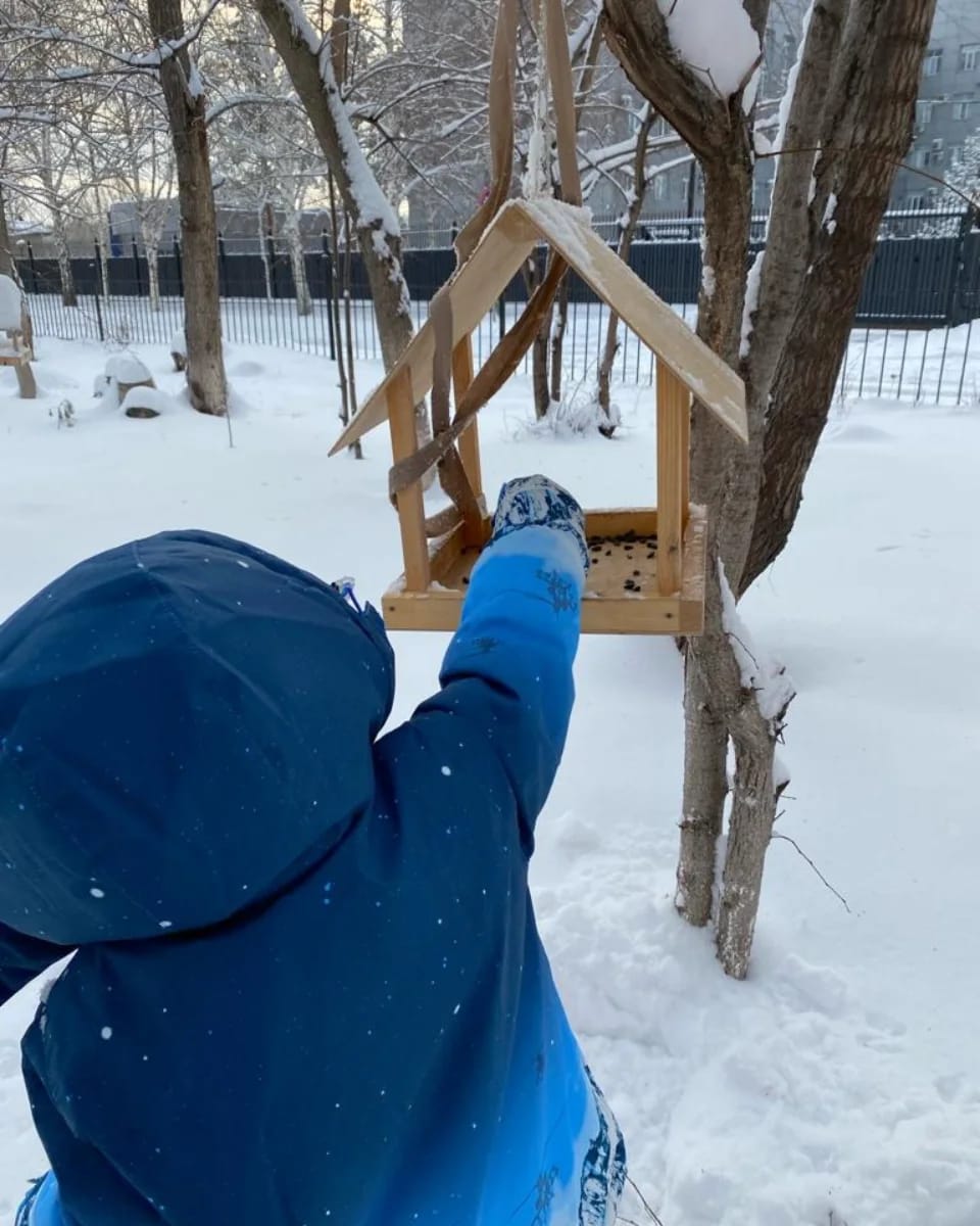 "Сделаем эту зиму теплее для наших пернатых друзей! 🐦❄️