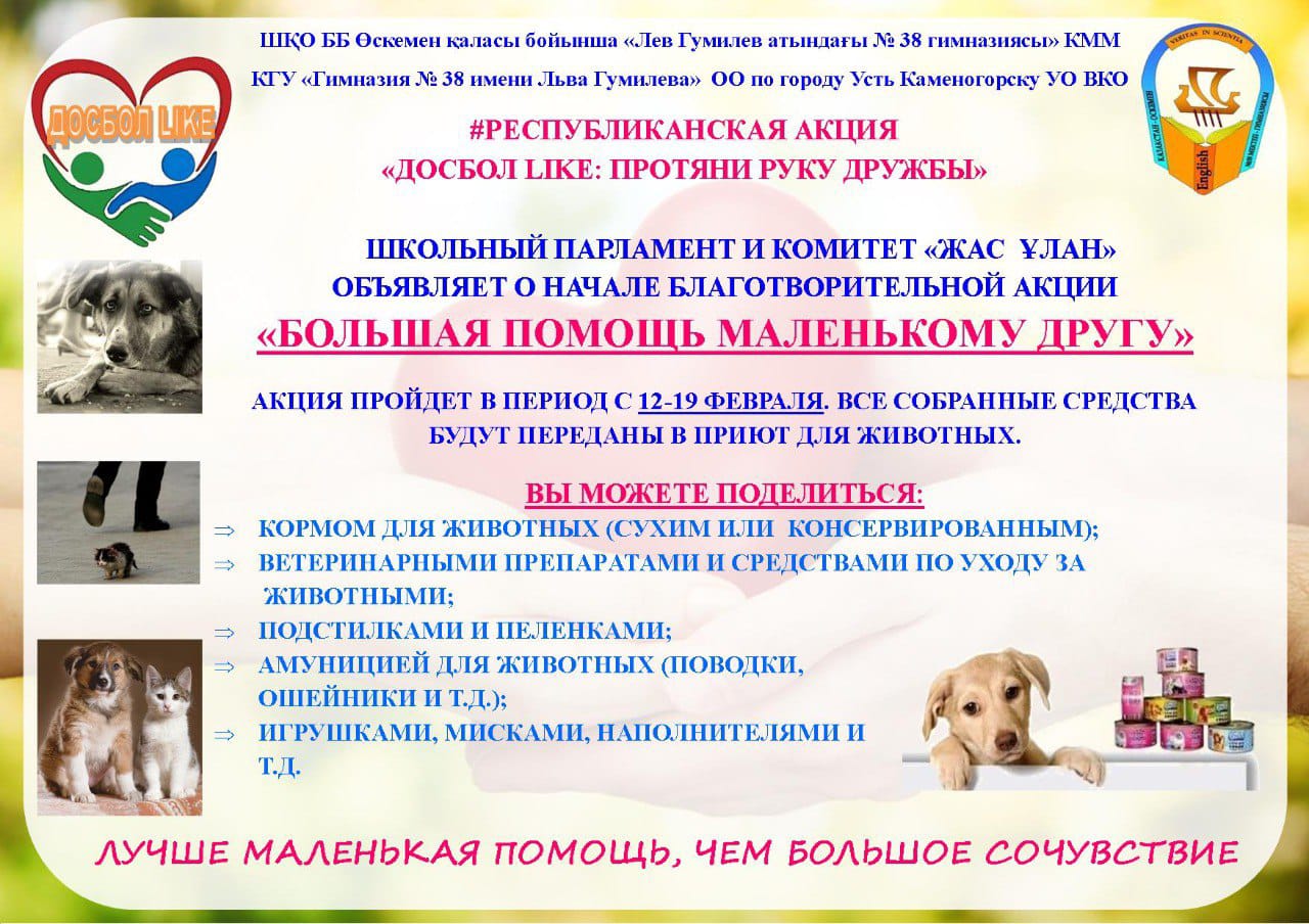 БОЛЬШАЯ ПОМОЩЬ МАЛЕНЬКОМУ ДРУГУ 🐶